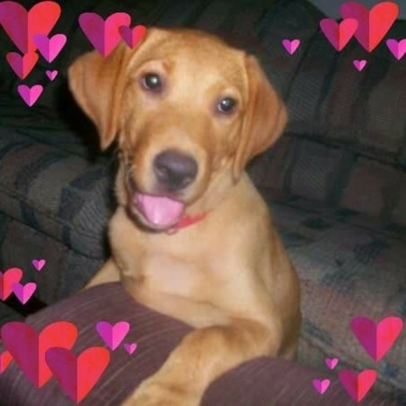 Meet your Posher, Shannon - Picture 1 of 1